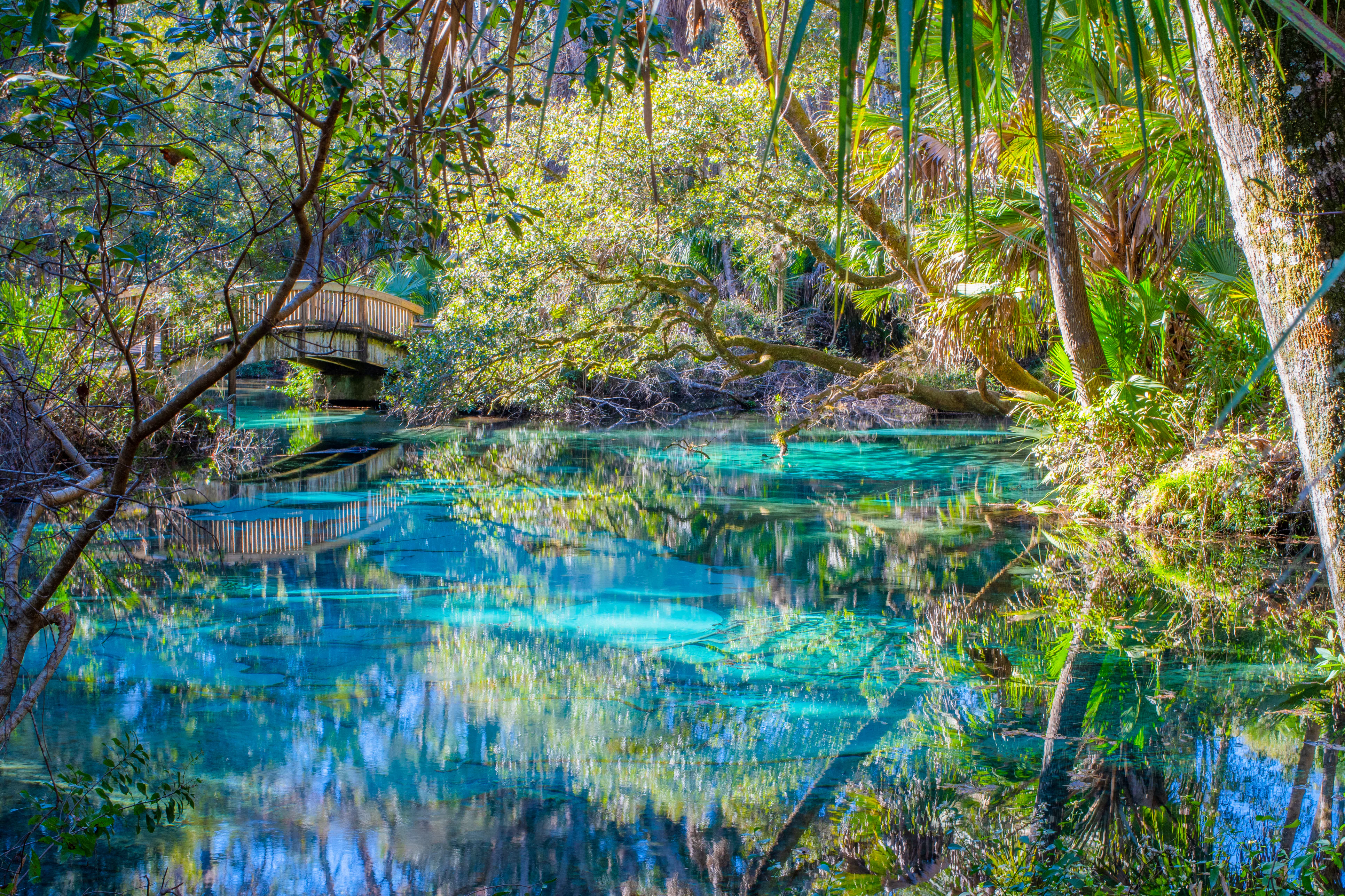 Juniper Springs in Ocala National Forest